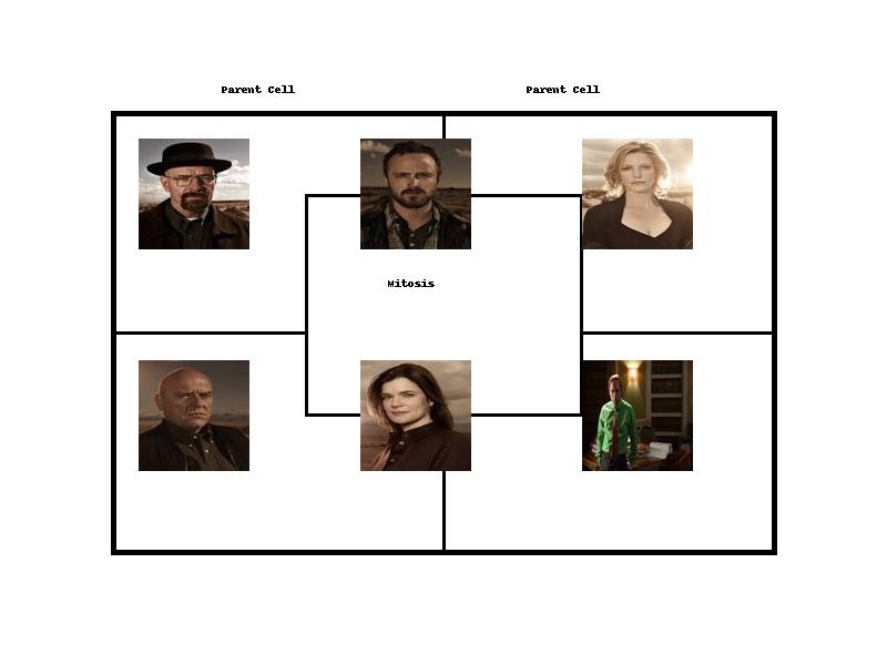 diagram of cell division except every cell is a different character from breaking bad